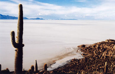 The white salt surface of the Salar de Uyuni, with cacti on a rocky island and mountains beyond.